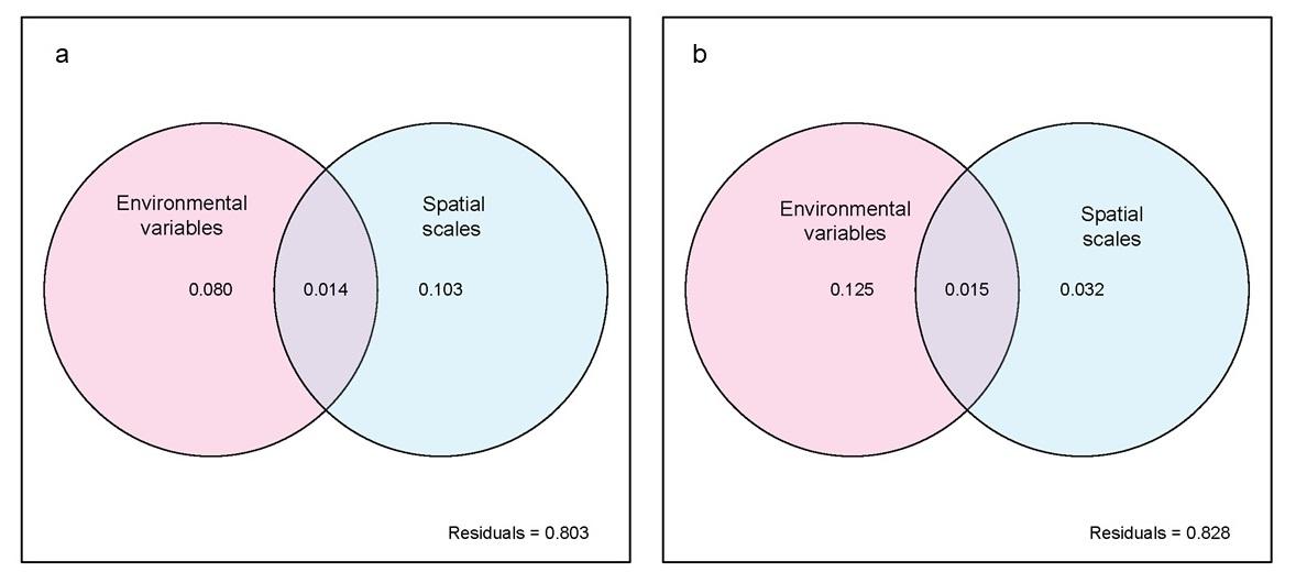 Variance partition analyses showing the relative importance of environmental and spatial factors in shaping nirS (a) and nirK (b) denitrifying communities.jpg