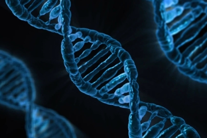 Researchers Reveal Molecular Mechanisms of Glycosylase AlkD in Target Search and Recognition of DNA Damage