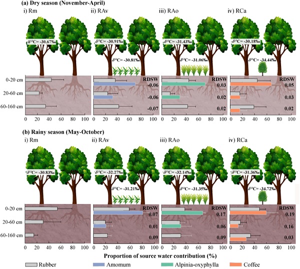 Water relations of different rubber-based agroforestry systems..jpg