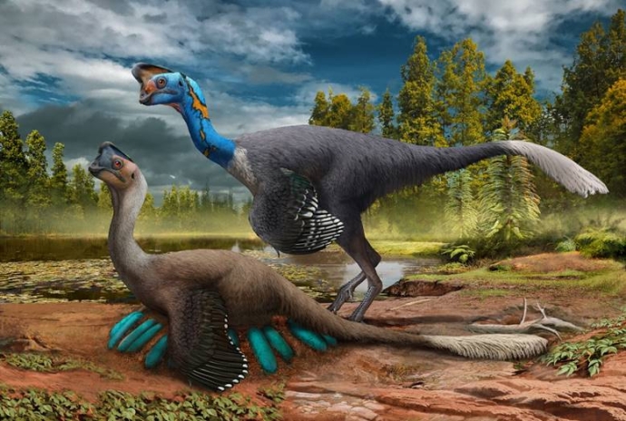 Scientists Discover Fossils of Dinosaur Sitting on Nest of Embryo-bearing Eggs