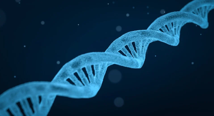 Researchers Disclose Genome-wide Variations in Secondary Structure of Human DNA