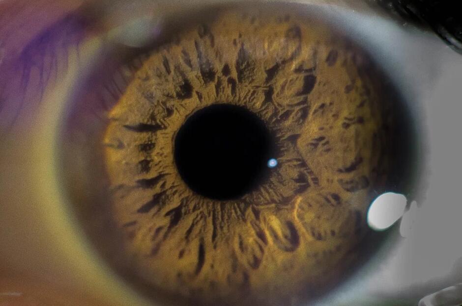 Window to Mind: Pupils Mirror Perception of Social Interaction