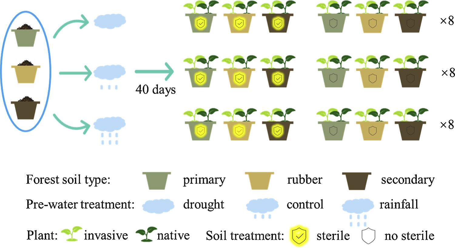 Soil Legacy Effect of Global Change Influences Invasiveness of Alien Plants