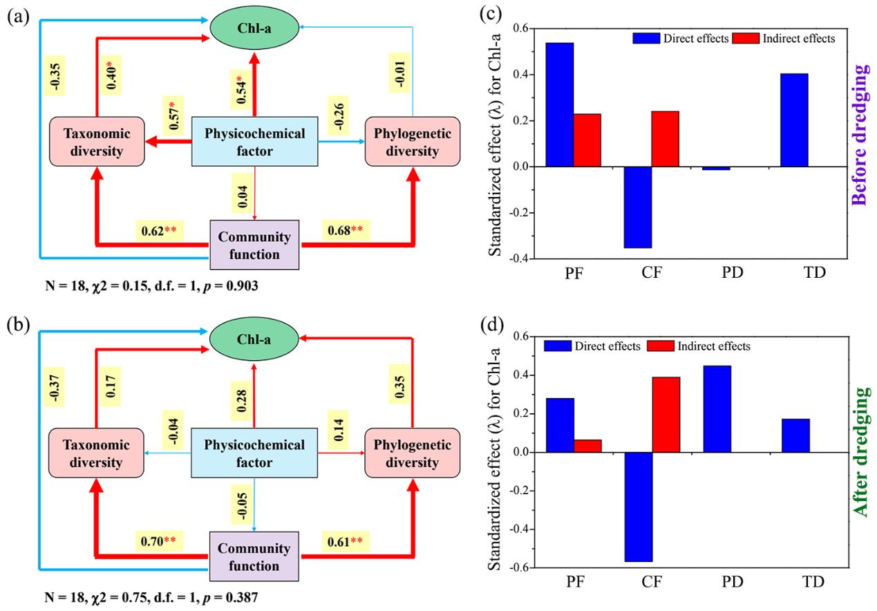 Researchers Signify Ecological Mechanism behind Dredging to Mitigate Lake Cyanobacterial Blooms