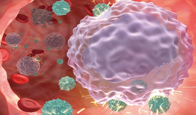 Ferritin-based Nanomedicine Developed for Targeted Leukemia Therapy