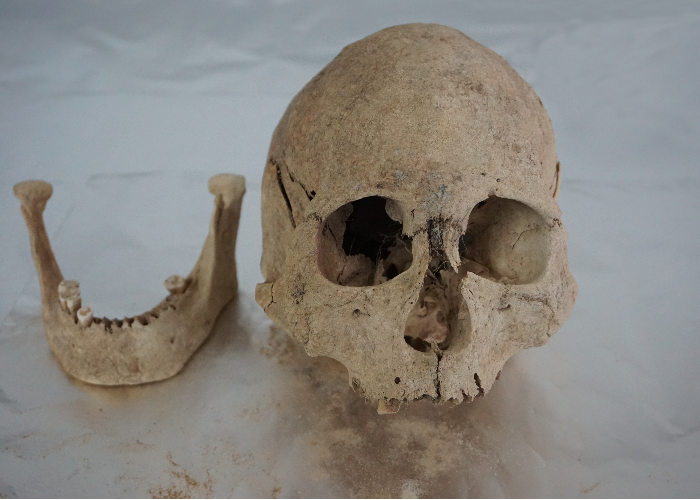 Cranium and mandible of an individual from Zongri (5213-3716 cal BP), an archaeological site from the Gonghe Basin in Qinghai, in the northeastern region of the Tibetan Plateau.png