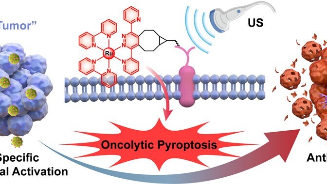 Bioorthogonal/Ultrasound Activated Oncolytic Pyroptosis for Augmented In Situ Tumor Vaccination. (Image by SIAT)