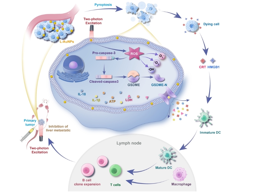 New Gold Nanoparticle-based Therapy Shows Promise in Colorectal Cancer Treatment