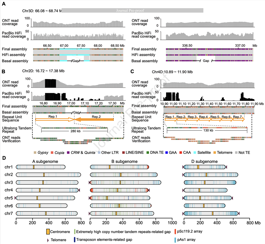 小麦のゲノム解析が未来の品種改良に道を開く (Near-complete Genome Assembly of Chinese Spring Paves the Way for Future Wheat Breeding)