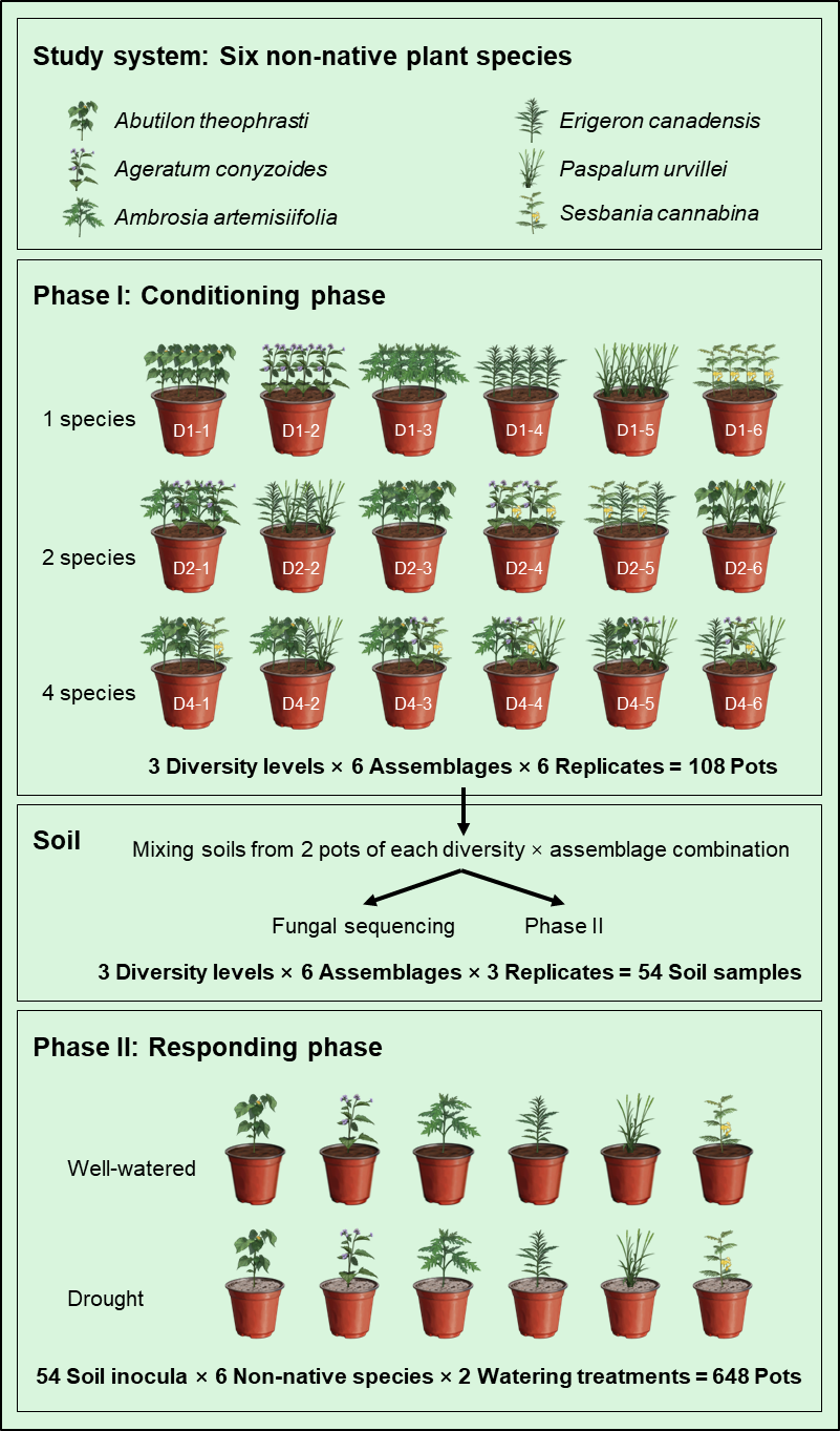 外来植物の多様性が侵入リスクを高める(High Non-native Plant Diversity Enhances Future Invasion Risk in Well-watered Environments, Study Finds)