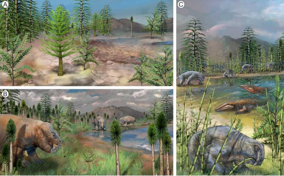 China Discovers Terrestrial 