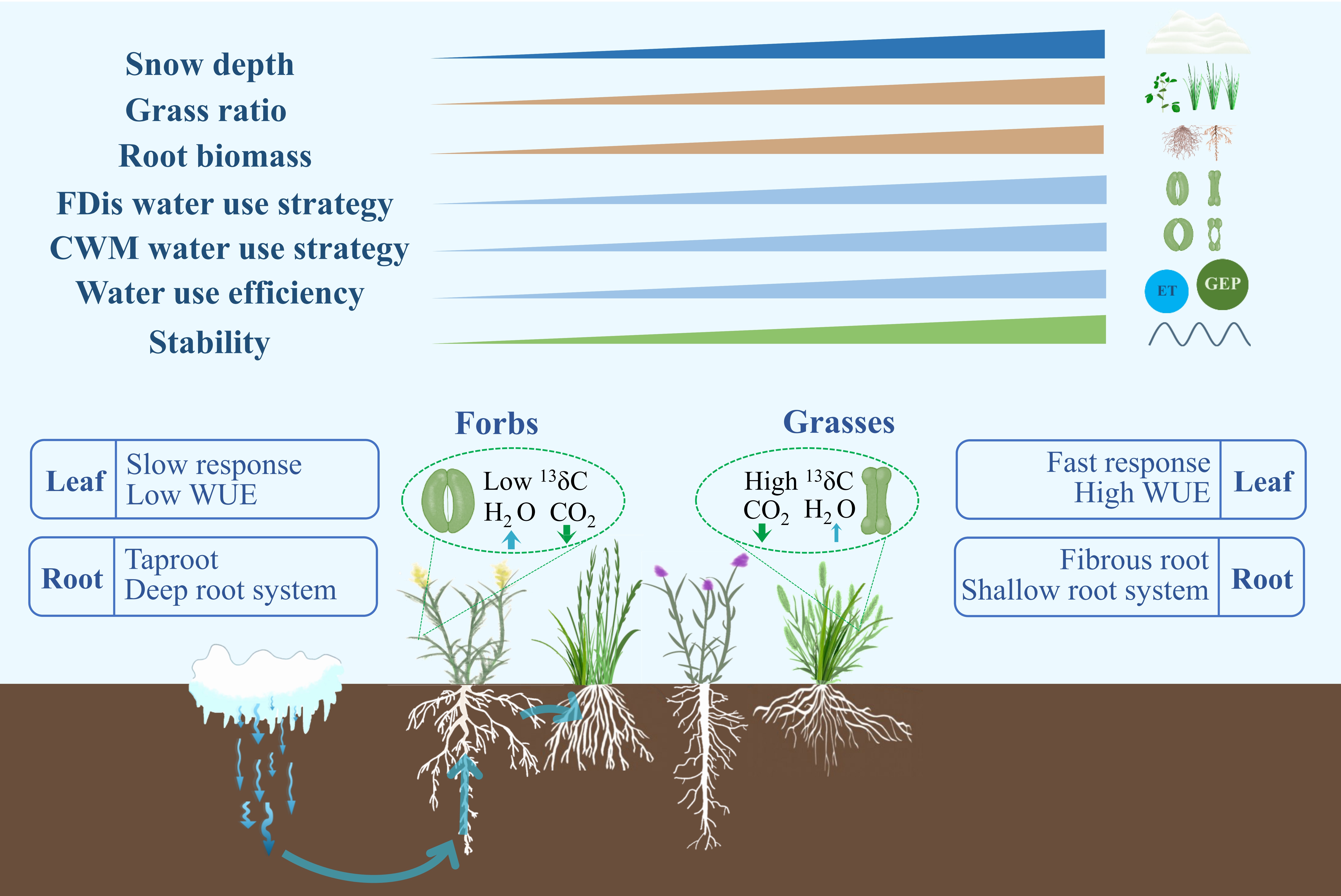 Winter's Gift to Nature: Snowfall Helps Grasslands Stay Strong