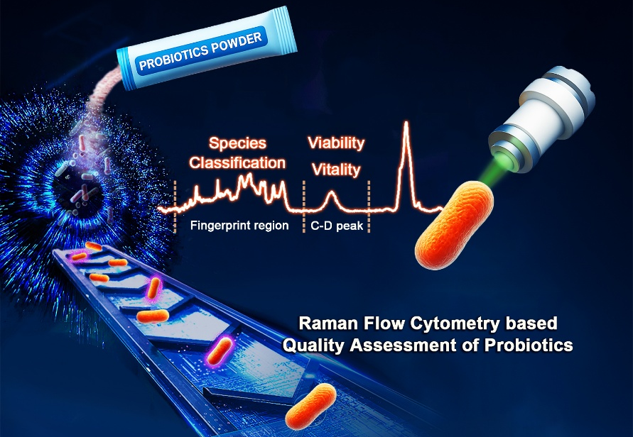 Researchers Develop Novel Method to Evaluate Probiotic Products Using Raman Flow Cytometry