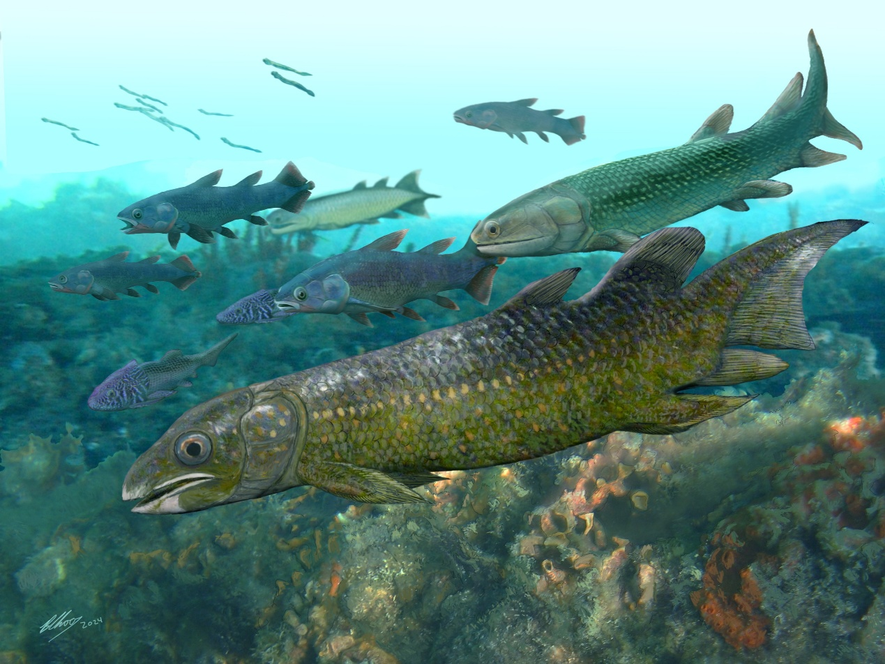 New Fossil Lungfish from Yunnan Sheds Light on Critical Stage of Early Vertebrate Evolution
