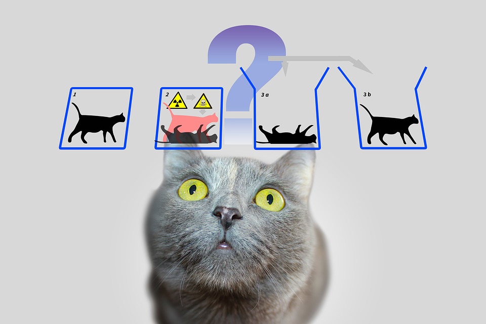 Scientists Create 20-qubit Schr&ouml;dinger Cat States with Superconducting Quantum Processor