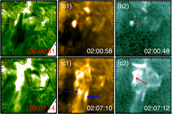 Observations Reveal Transfer of Twists from a Mini-filament to Large-scale Loops by Magnetic Reconnection