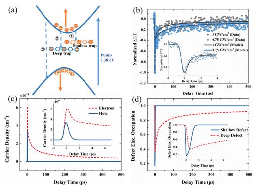recombination process and simulation results of ultrafast dynamics in ReS2.jpg