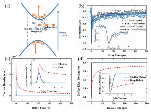 Scientists Reveal the Auger Process in Ultrathin ReS<sub>2</sub>