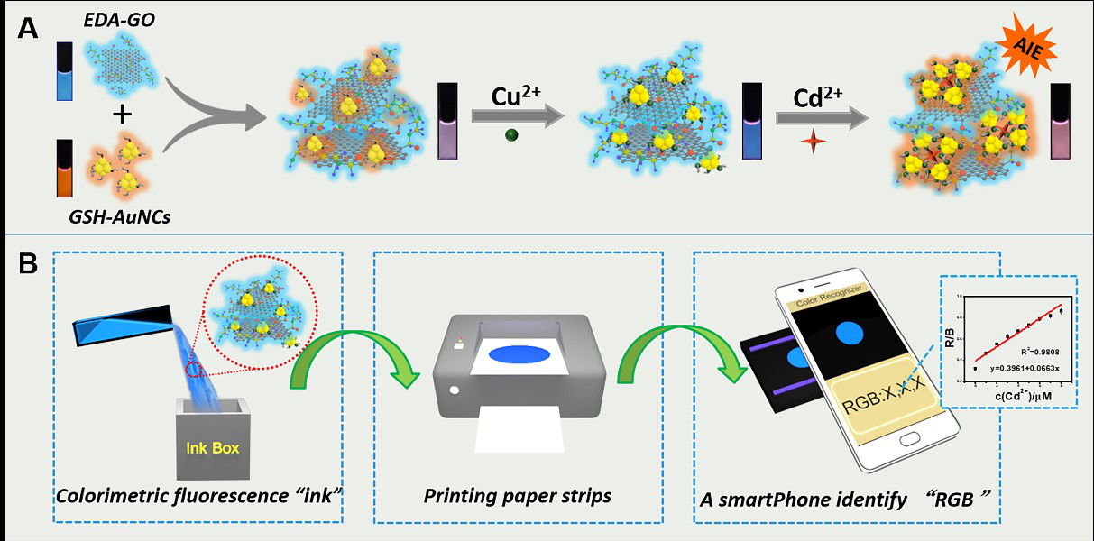 Colorimetric Fluorescent Sensor to Detect Cadmium Ions in Real Samples