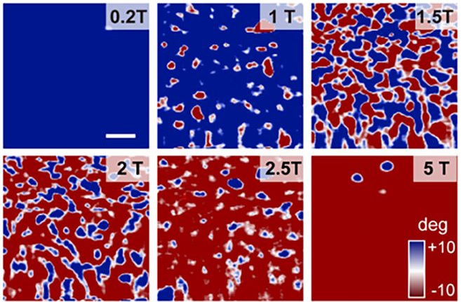 Researchers Discover Physical Origin of Electronic Phase Separation Phenomena in Complex Oxides