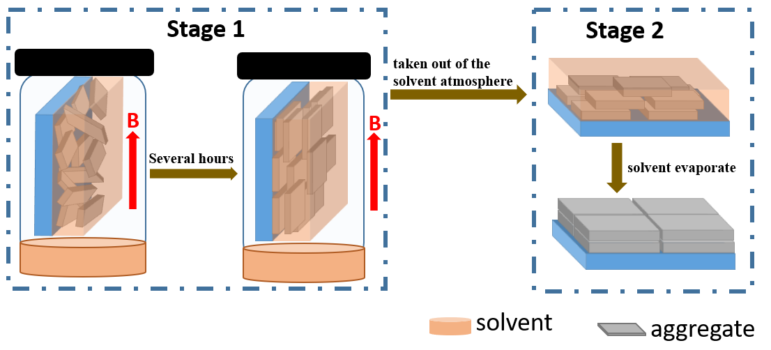 Schematic illustration of the SVA-HMF process for the alignment of an as-cast polymer film.png