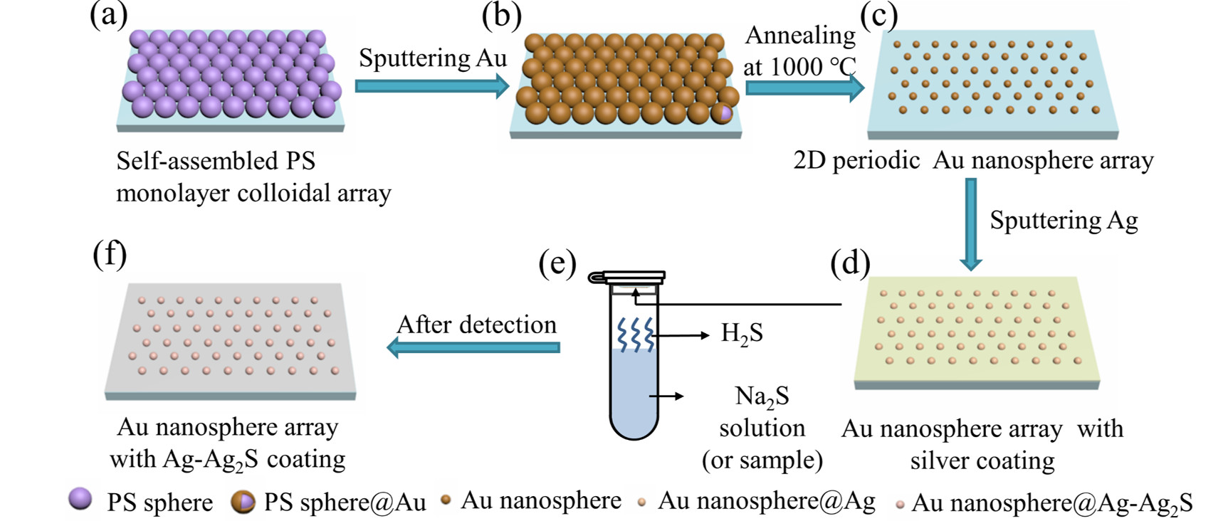 Schematic diagram of fabrication of Au nanosphere arrays with silver coating and their H2S detection.jpg