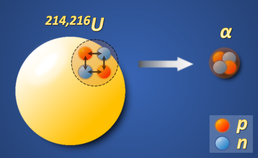 The illustration of the enhanced α-particle preformation