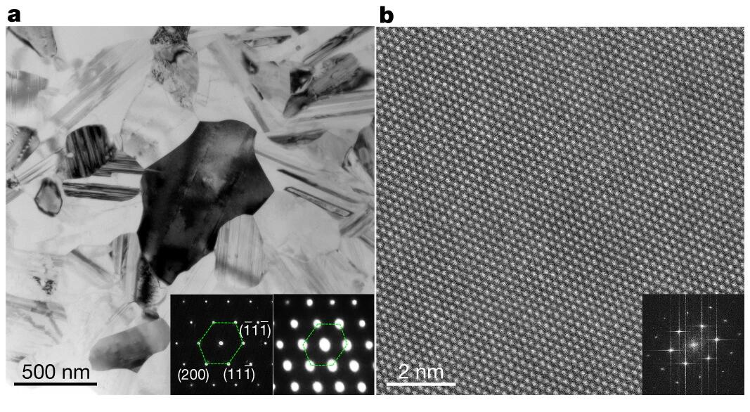 Scientists See Chemical Short-range Order in Medium-entropy Alloy
