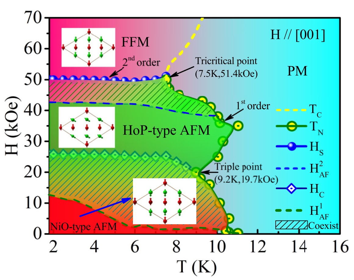 Researchers Resolve Magnetic Structures of Different Topological Semimetals