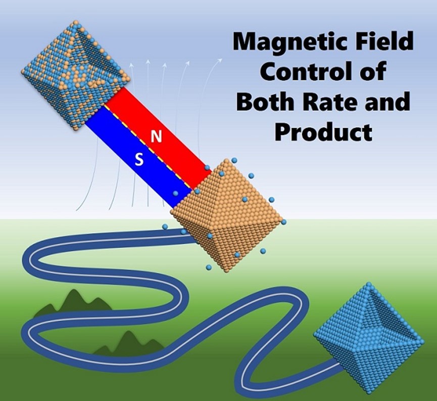 Schematic diagram of magnetic field controlling chemical reaction rate and products