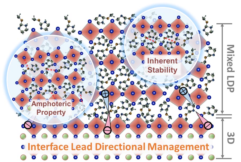 perovskite passivation layer