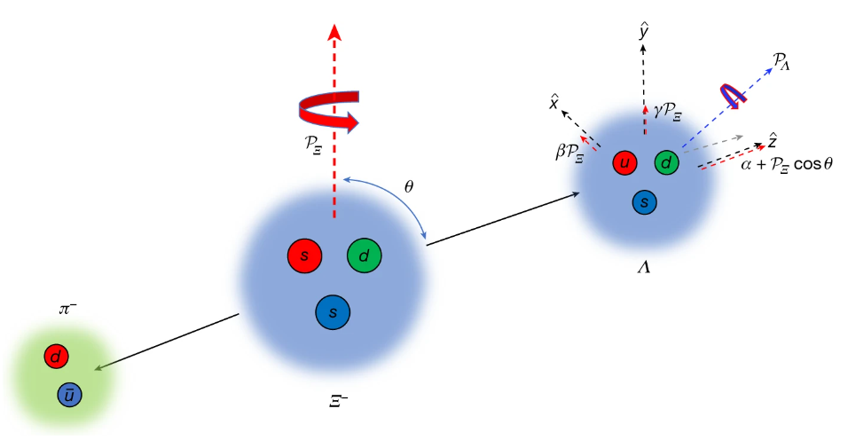 Illustration of the polarization vectors