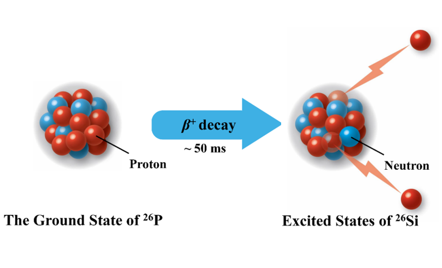 β-delayed two-proton decay of phosphorus-26. (Image by JIAN Hao)