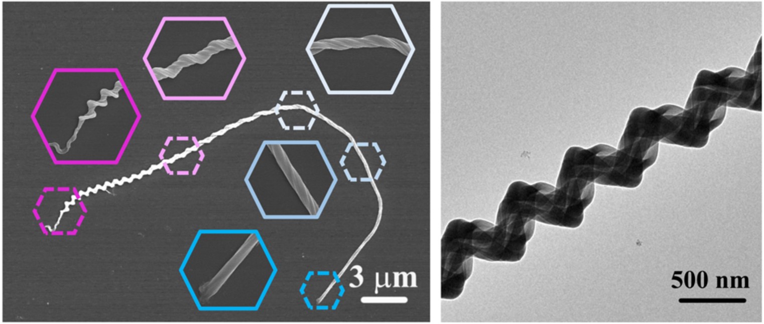 Scanning electron microscopy images of the nanowires and nanohelices.jpg