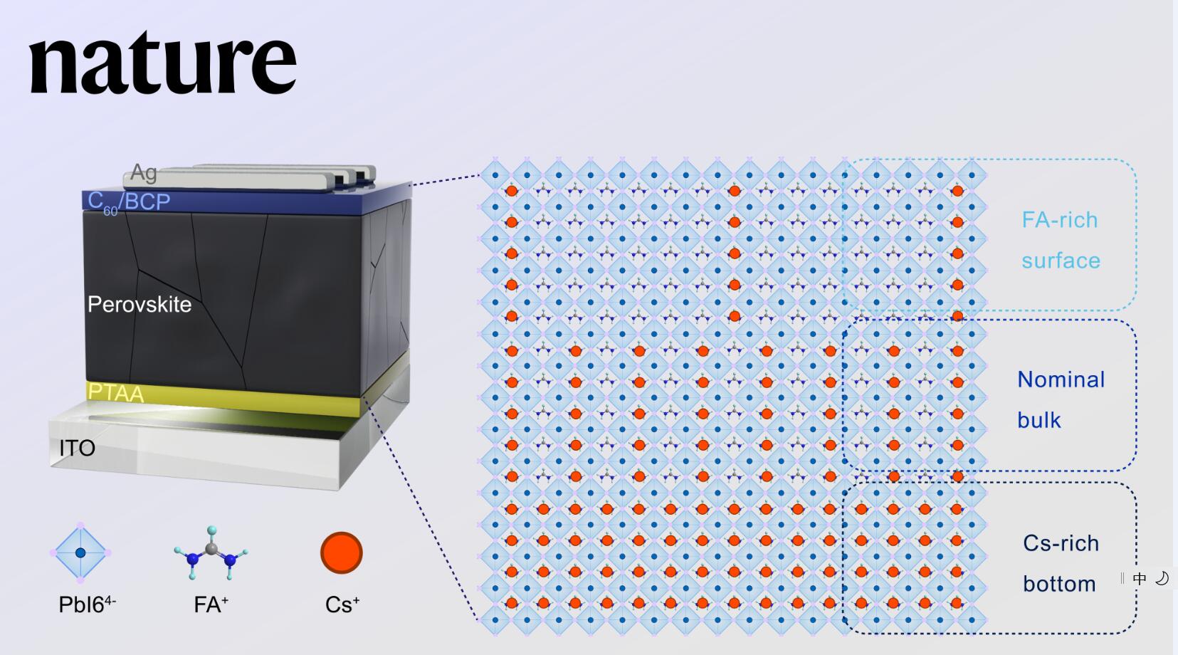Scientists Propose Perovskite Film Homogenizing Strategy to Increase Conversion Efficiency
