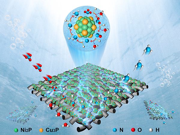 Heterostructure Cu3P-Ni2P/CP catalyst assembled membrane electrode for high-efficiency electrocatalytic nitrate to ammonia