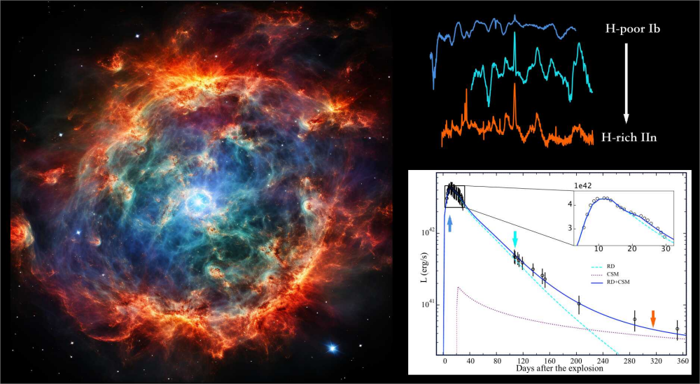 Researchers Reveal Secrets of Explosion Mechanisms of Metamorphic Supernova
