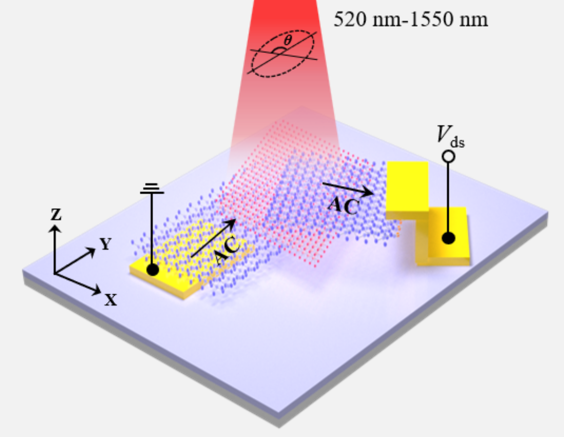 New Device Simplifies Optical Imaging and Sensing