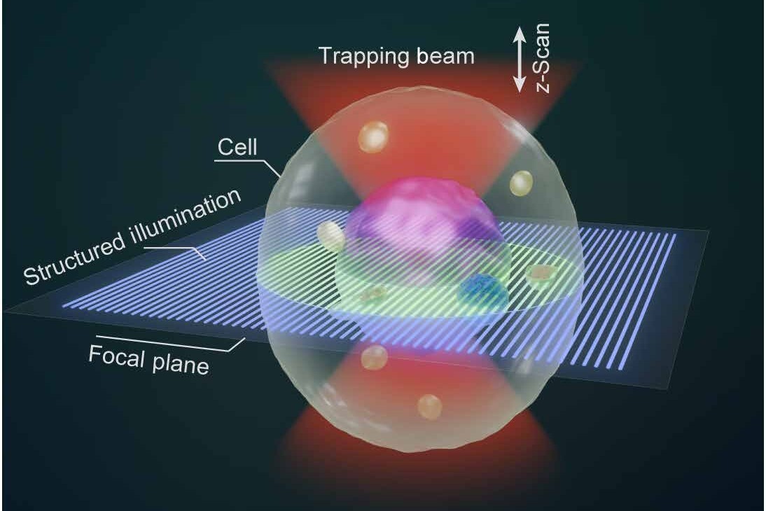 Researchers Develop OTSM for 3D Imaging of Floating Live Cells