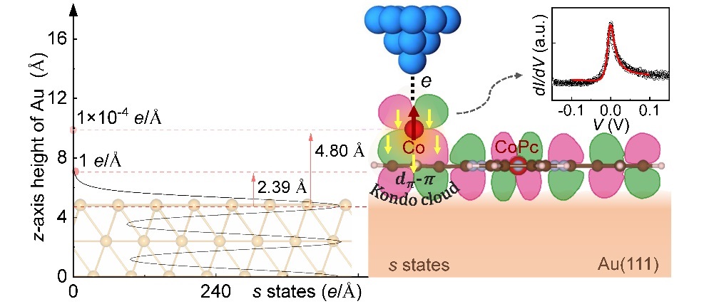 Single Organic Molecule Triggers Kondo Effect in Molecular-Scale 