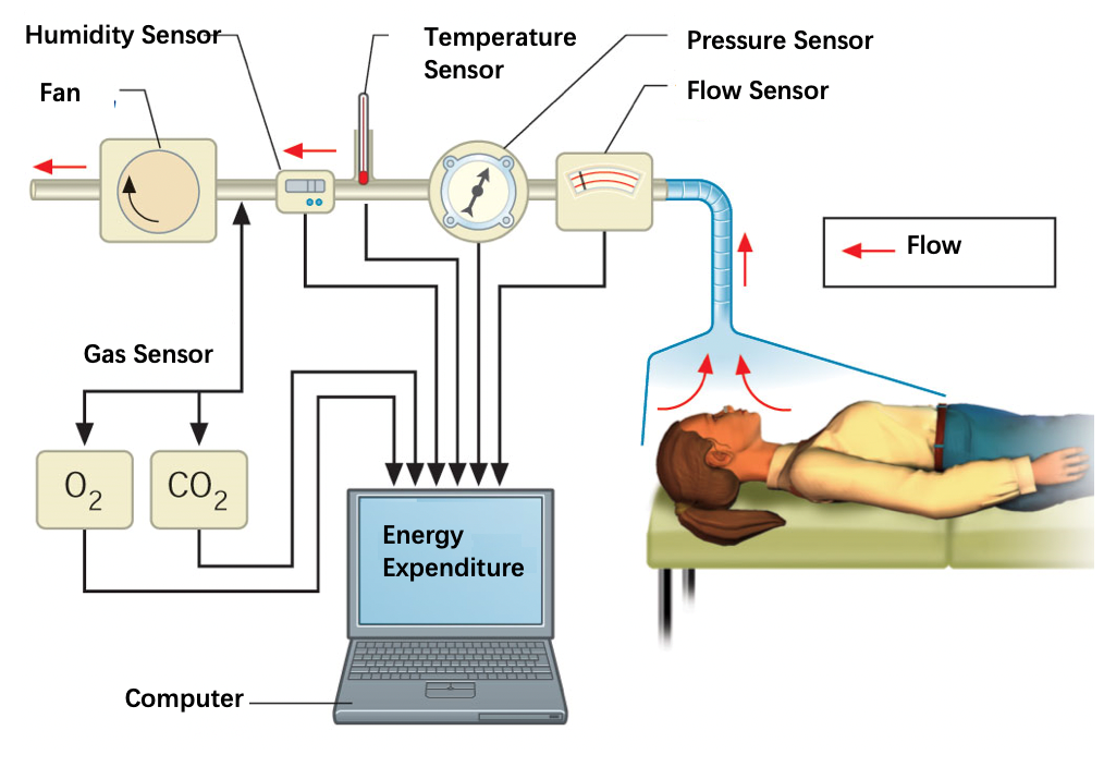 First Independent Research Energy Metabolism Tester in China Put into Clinical Experiments