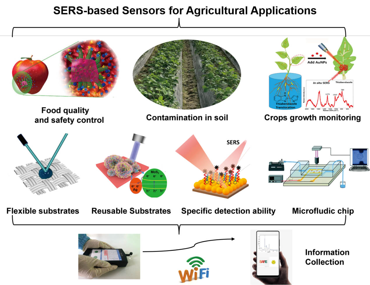 SERS-based sensors for agricultural applicationsjpg