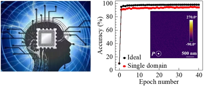 シングルドメイン強誘電体薄膜の形成に成功 (Researchers Achieve Single-domain Ferroelectric Thin Films Through Simple Temperature Control)