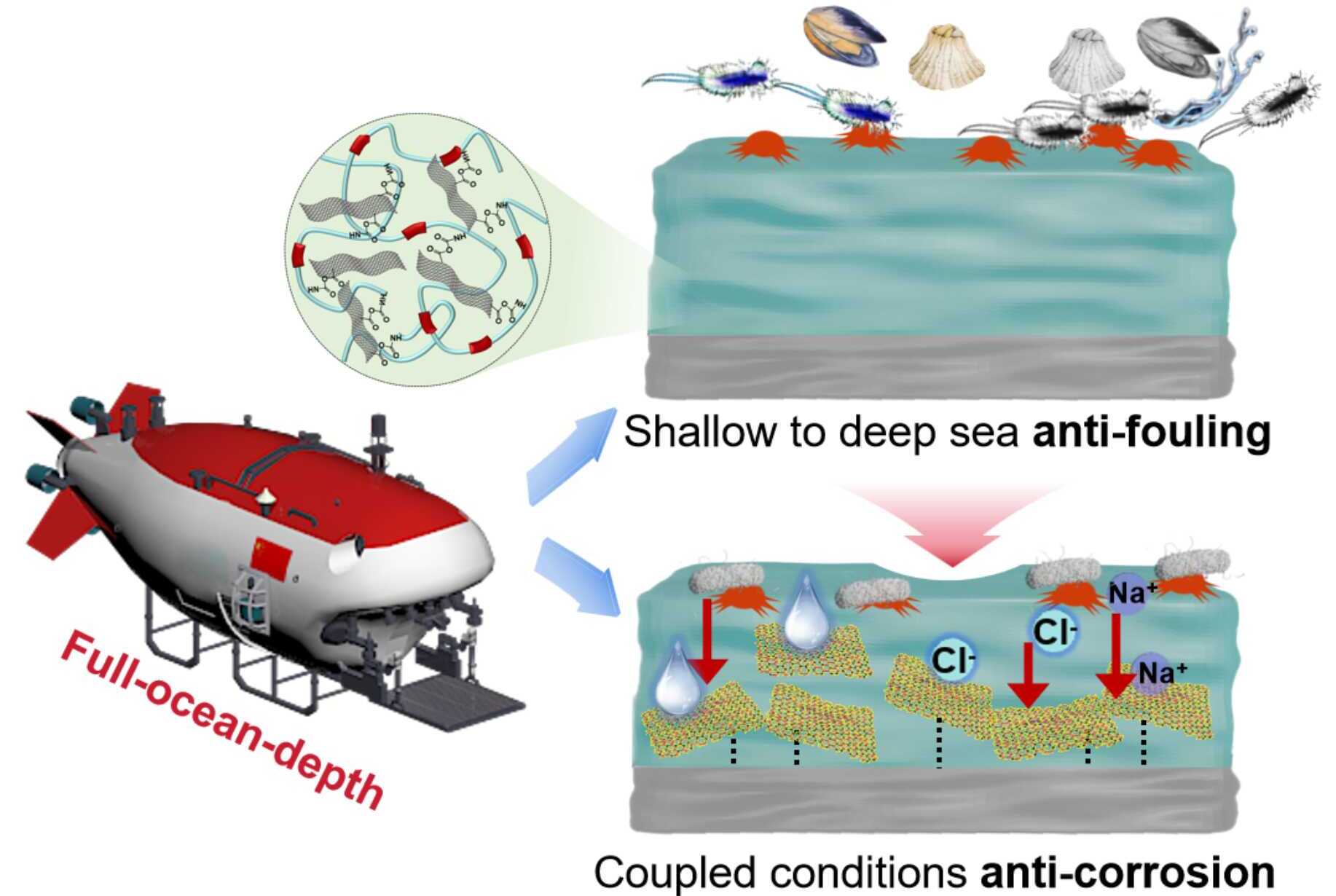 Researchers Develop PUDF Coating for Full-Ocean-Depth Antifouling and Anticorrosion