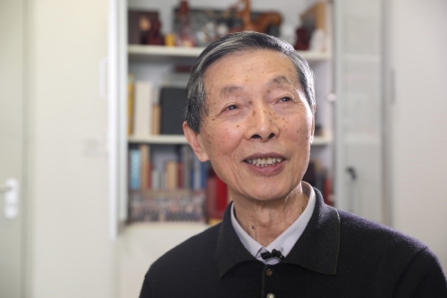 Pioneer Laid Foundation for China's Battery Brilliance