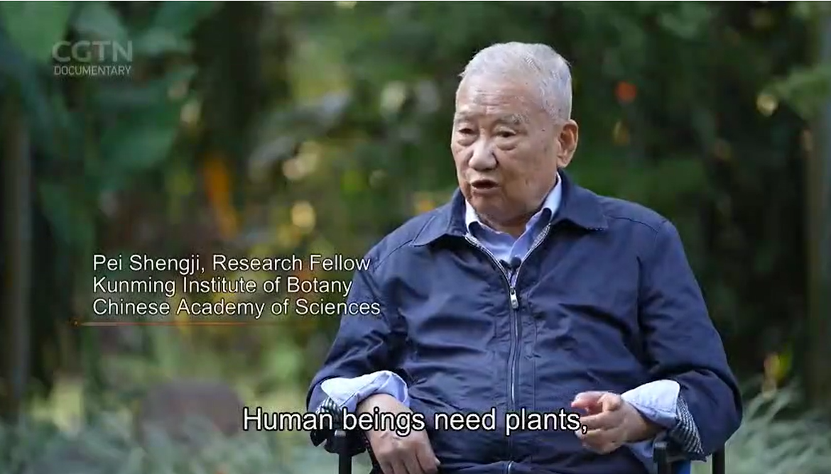 Wisdom's Breath: The Living Tradition of Chinese Medicine