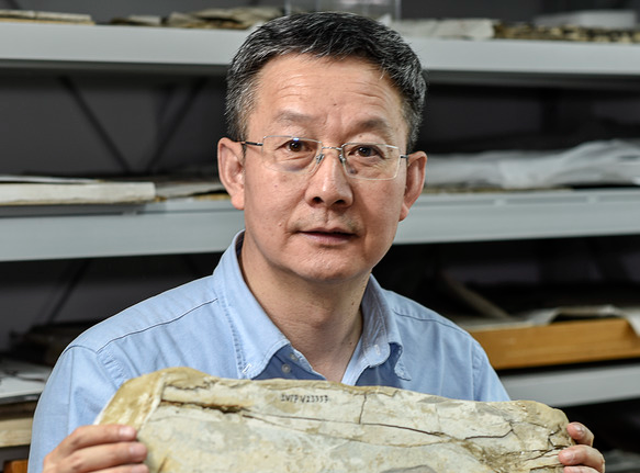 Unlikely Journey of China's Dinosaur Whisperer