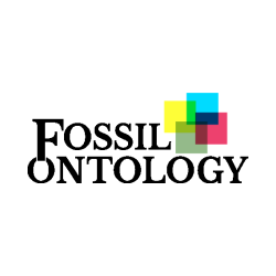 Fossil ontology