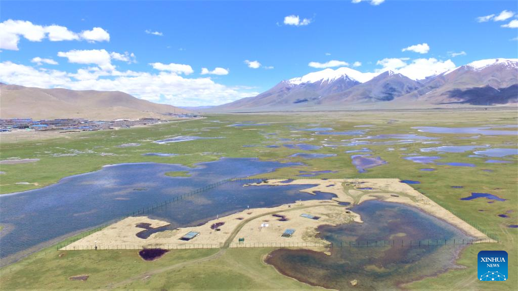 Chinese Scientists Reveal Carbon Sink on Qinghai-Xizang Plateau