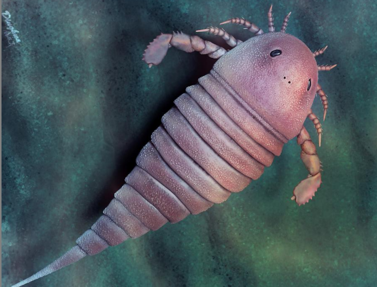 Life reconstruction of Archopterus anjiensis (Drawn by YANG Dinghua)